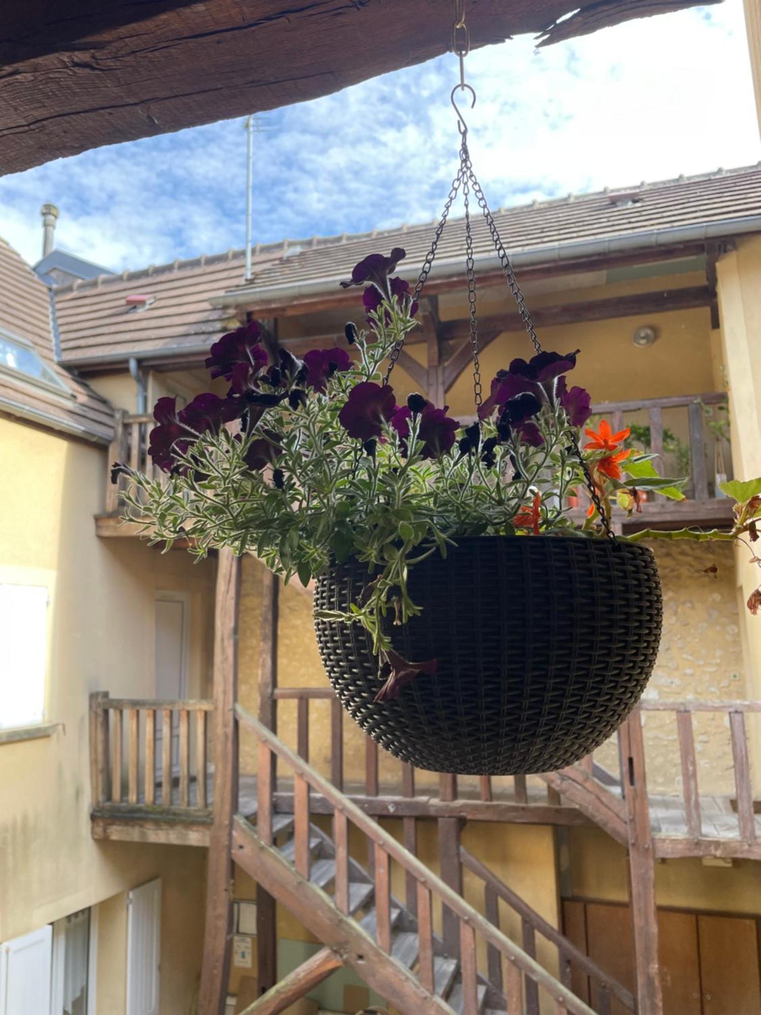 Au Nom De La Rose, Beau 3 Pieces En Centre-Ville Provins Exterior photo